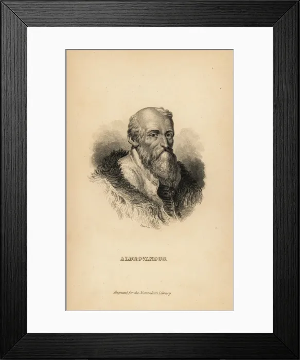 Framed Print : Ulisse Aldrovandi or Aldrovandus (1522 -1605) Framed Print : Ulisse Aldrovandi or Aldrovandus (1522 -1605)