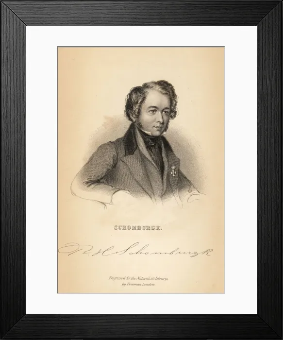 Framed Print : Portrait of Robert Schomburgk Framed Print : Portrait of Robert Schomburgk