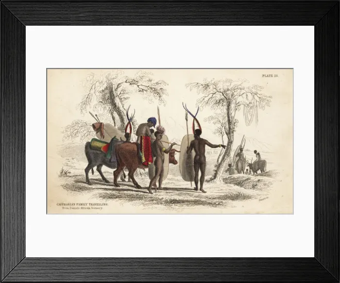 Framed Print : Zulu family travelling with herd of cattle Framed Print : Zulu family travelling with herd of cattle