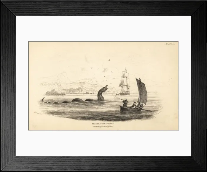 Framed Print : Great sea serpent shot at by the crew of Lawrence Framed Print : Great sea serpent shot at by the crew of Lawrence