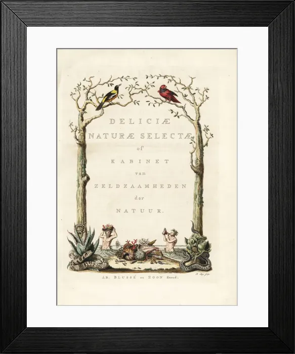 Framed Print : Title page with vignette from Knorrs Deliciae Framed Print : Title page with vignette from Knorrs Deliciae