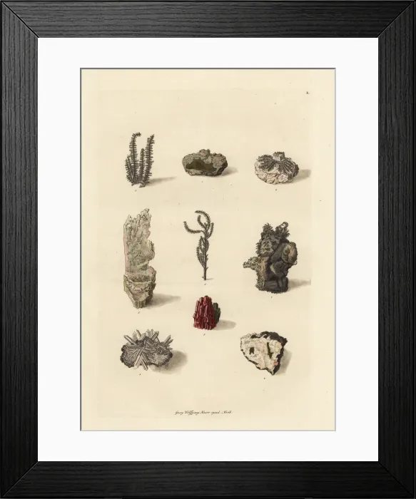 Framed Print : Varieties of gold and silver ores Framed Print : Varieties of gold and silver ores