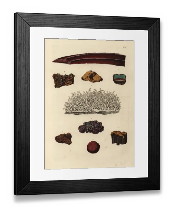 Framed Print : Varieties of iron ore Framed Print : Varieties of iron ore
