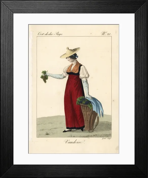 Framed Print : Woman picking grapes, Vaud, Switzerland, 19th century