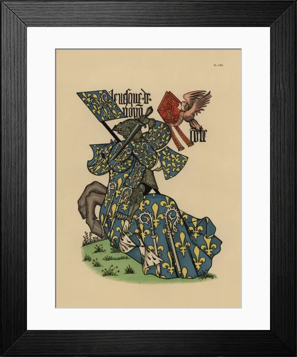Framed Print : Bishop of Noyon, Eveque de Noyon, with mitre and standard Framed Print : Bishop of Noyon, Eveque de Noyon, with mitre and standard