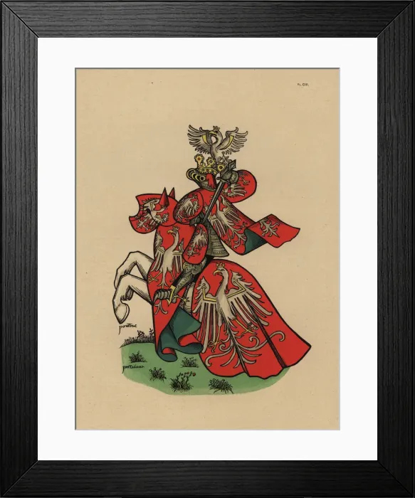 Framed Print : King of Poland, roi de Pologne Framed Print : King of Poland, roi de Pologne