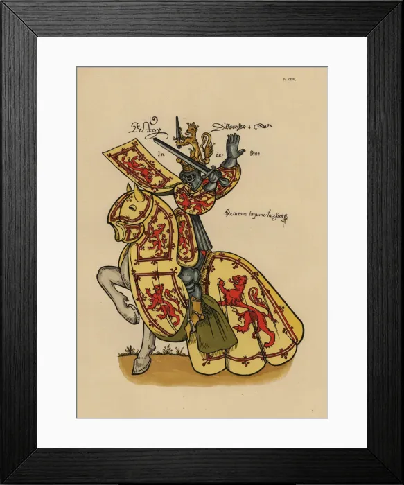 Framed Print : King of Scotland, roi des Ecossais Framed Print : King of Scotland, roi des Ecossais