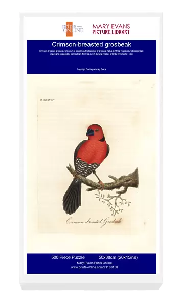 Crimson-breasted grosbeak