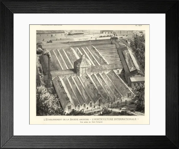 Framed Print : Establishment of the International Horticultural Framed Print : Establishment of the International Horticultural