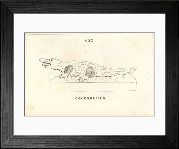 Framed Print : Statue of a crocodile Framed Print : Statue of a crocodile