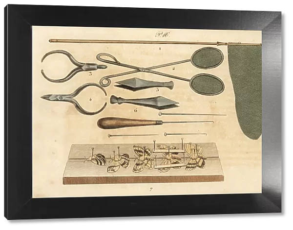 Butterfly collector tools, 19th century