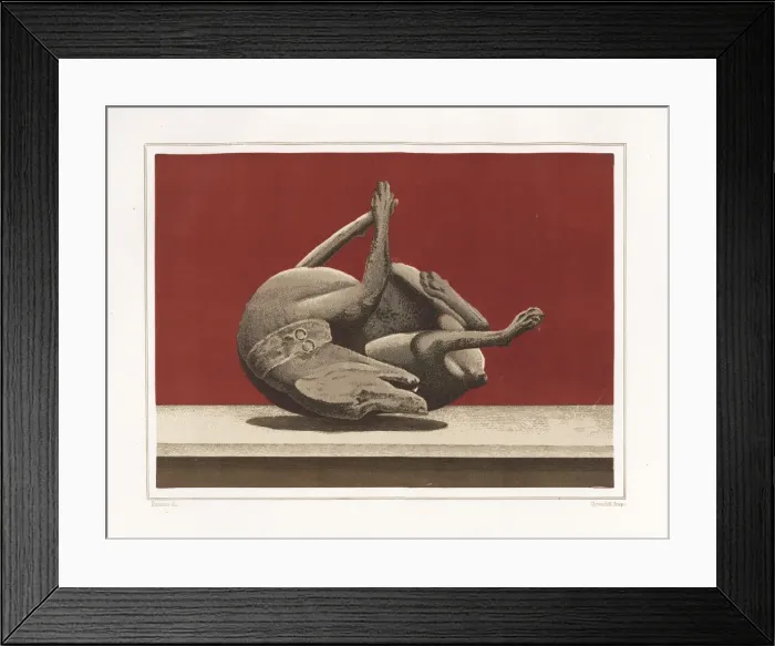 Framed Print : Cast of a dead dog from the House of Vesonius Framed Print : Cast of a dead dog from the House of Vesonius