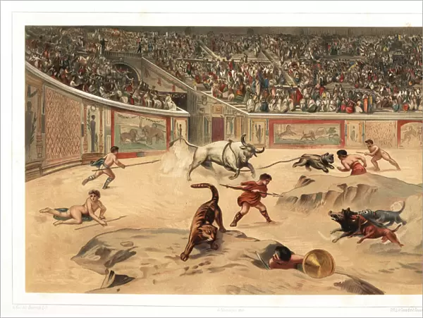 Gladiators fighting wild animals in Pompeii ampitheatre
