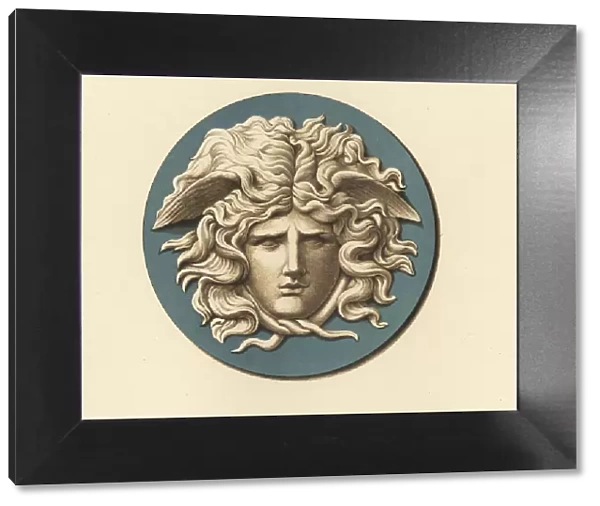Portrait medallion of the Medusa
