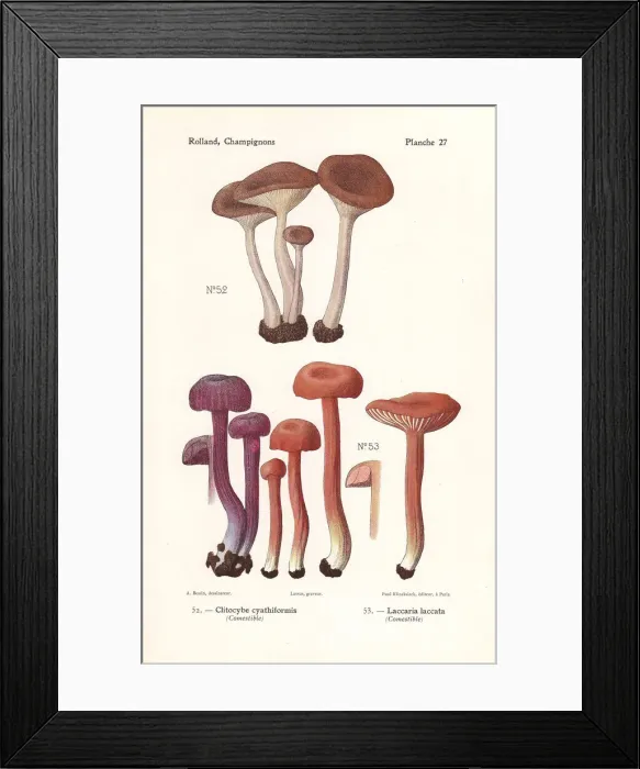 Framed Print : Goblet funnel cap and the deceiver
