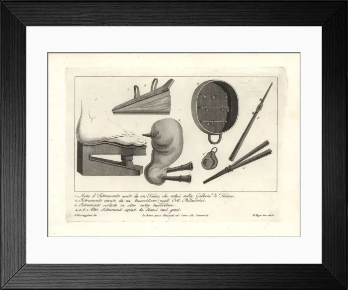 Framed Print : Ancient musical instruments including bellows Framed Print : Ancient musical instruments including bellows