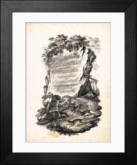 Framed Print : Title page from Illustrated History of Natural Animals, 1827 Framed Print : Title page from Illustrated History of Natural Animals, 1827