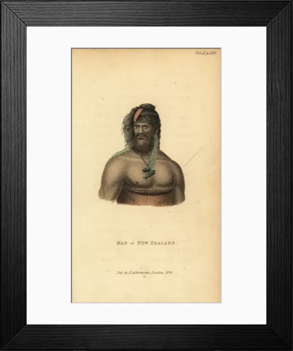 Framed Print : Maori man of New Zealand Framed Print : Maori man of New Zealand