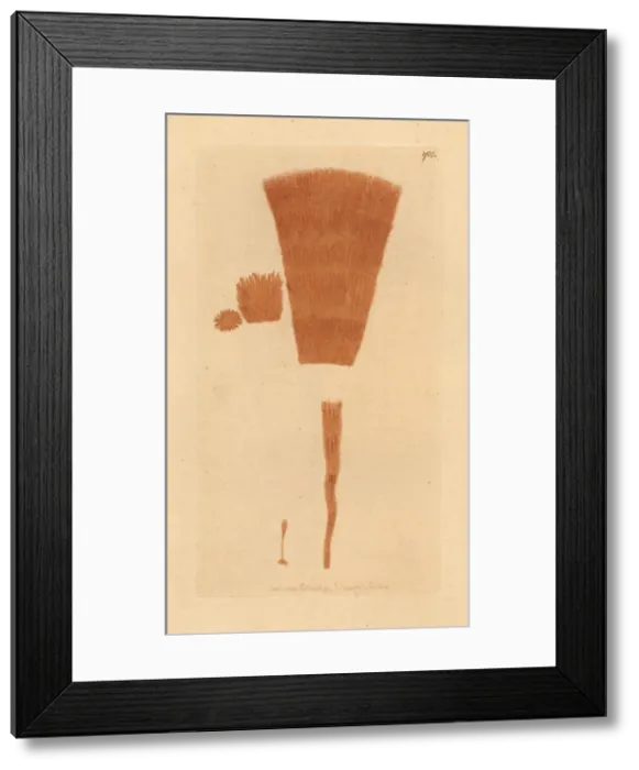 Framed Print : Bearded yellow byssus, Byssus barbatus Framed Print : Bearded yellow byssus, Byssus barbatus