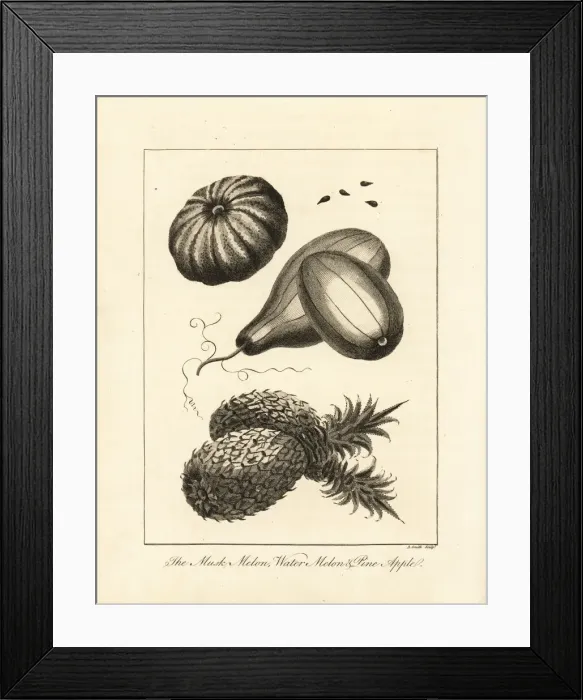 Framed Print : Musk melon, watermelon and pineapple Framed Print : Musk melon, watermelon and pineapple