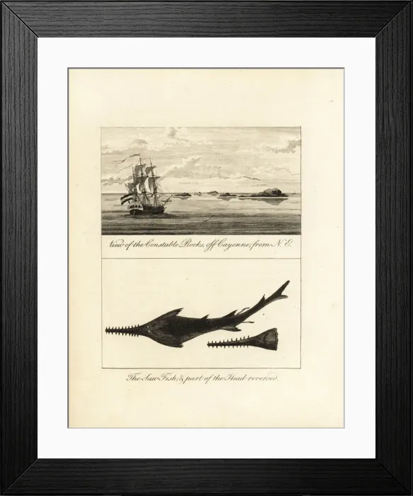 Framed Print : View of Constable Rocks off Cayenne, and sawfish Framed Print : View of Constable Rocks off Cayenne, and sawfish
