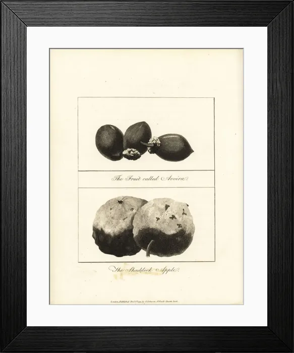 Framed Print : Tucuma and pomelo fruit Framed Print : Tucuma and pomelo fruit