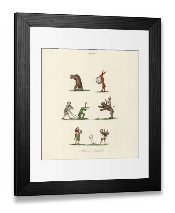 Framed Print : Medieval trained animals Framed Print : Medieval trained animals