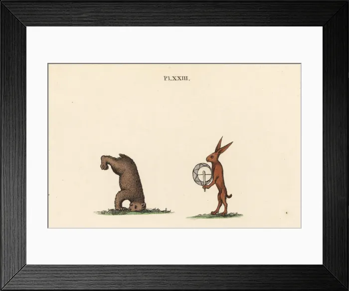 Framed Print : Medieval trained animals Framed Print : Medieval trained animals
