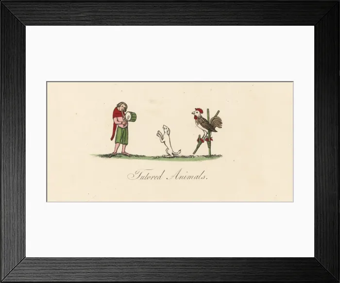 Framed Print : Medieval trained animals Framed Print : Medieval trained animals
