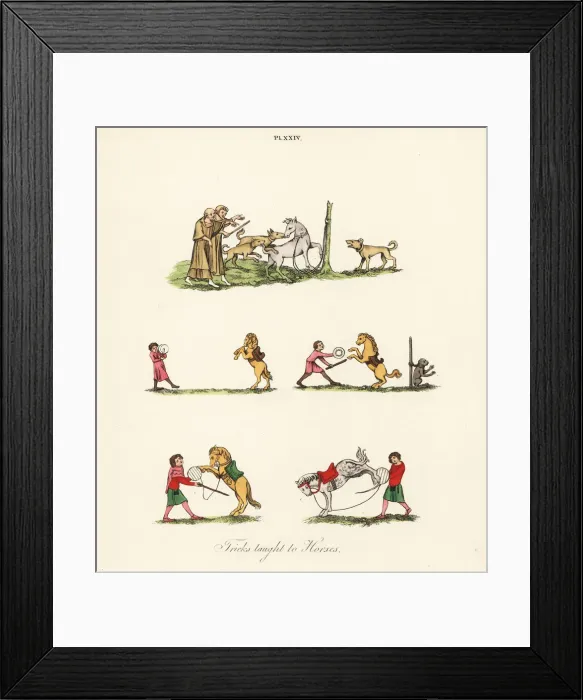 Framed Print : Medieval entertainment with horses Framed Print : Medieval entertainment with horses