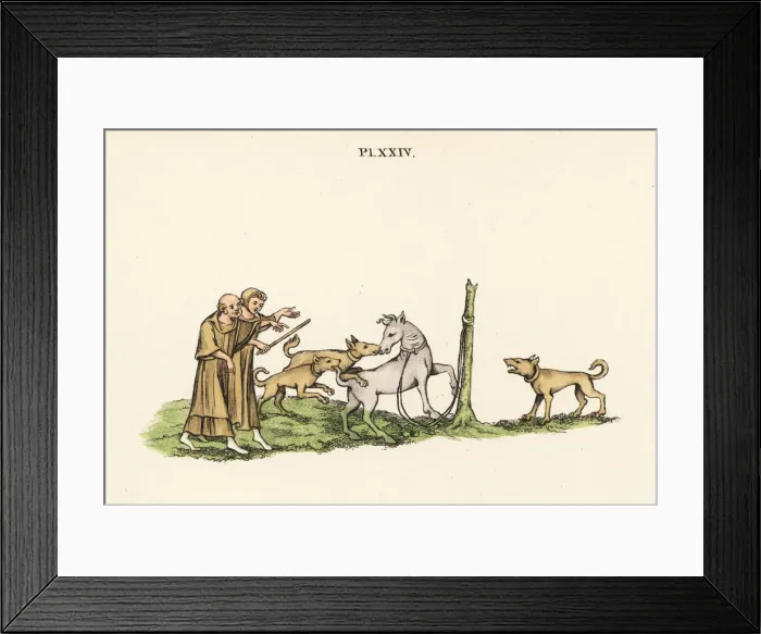 Framed Print : Medieval entertainment with horses Framed Print : Medieval entertainment with horses