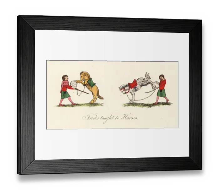 Framed Print : Medieval trained horses Framed Print : Medieval trained horses