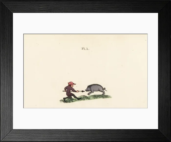Framed Print : Man spearing a boar, 14th century Framed Print : Man spearing a boar, 14th century