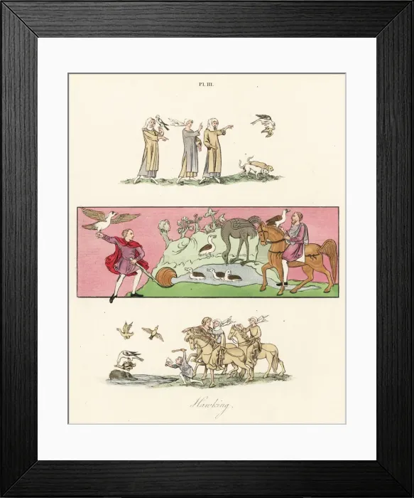Framed Print : Hawking scenes, 9th and 14th century Framed Print : Hawking scenes, 9th and 14th century