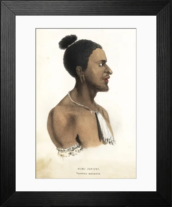Framed Print : Malayan man Framed Print : Malayan man