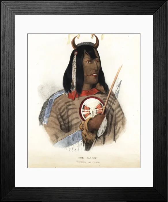 Framed Print : Native American in headdress with horns, buckskin Framed Print : Native American in headdress with horns, buckskin