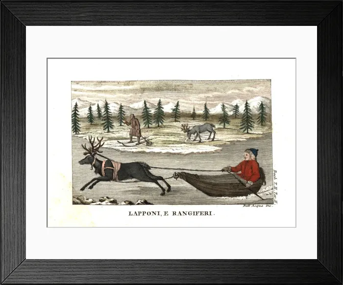 Framed Print : Sami man or Lapplander in a sleigh pulled Framed Print : Sami man or Lapplander in a sleigh pulled