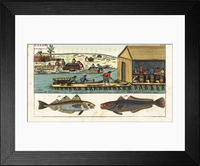 Framed Print : Processing whiting and hake in a shed, America, 18th century Framed Print : Processing whiting and hake in a shed, America, 18th century