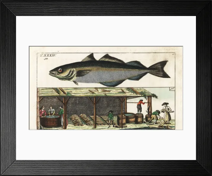 Framed Print : Fish wives washing pollock in a shed, 18th century Framed Print : Fish wives washing pollock in a shed, 18th century