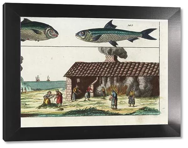 Sardine, ilisha, and sardine smokehouse