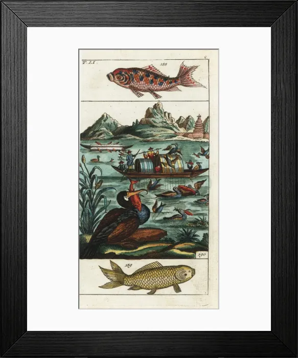 Framed Print : Chinese fishermen using cormorants to catch fish on a river Framed Print : Chinese fishermen using cormorants to catch fish on a river
