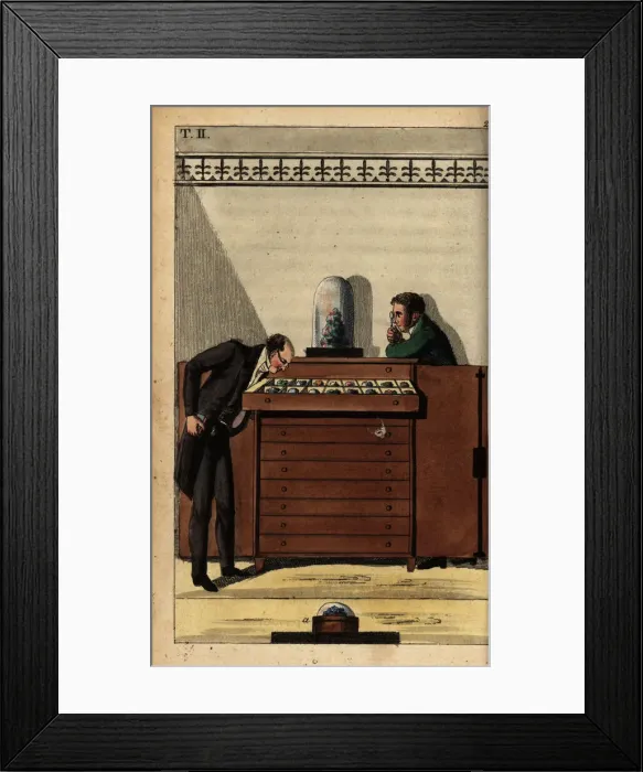 Framed Print : Geologists studying fossil examples stored Framed Print : Geologists studying fossil examples stored