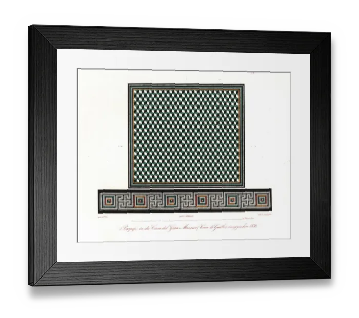 Framed Print : Mosaics from the House of the Faun, Casa del Framed Print : Mosaics from the House of the Faun, Casa del