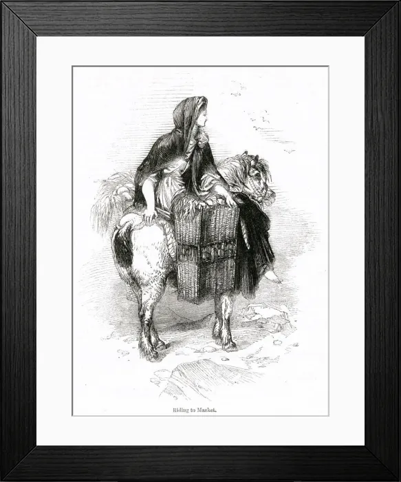 Framed Print : Young Irish woman riding to Bantry market on a pony Framed Print : Young Irish woman riding to Bantry market on a pony