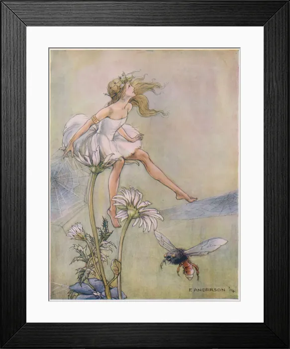 Framed Print : The Dream Pedlar - Sat on the Top of a Large Daisy Framed Print : The Dream Pedlar - Sat on the Top of a Large Daisy