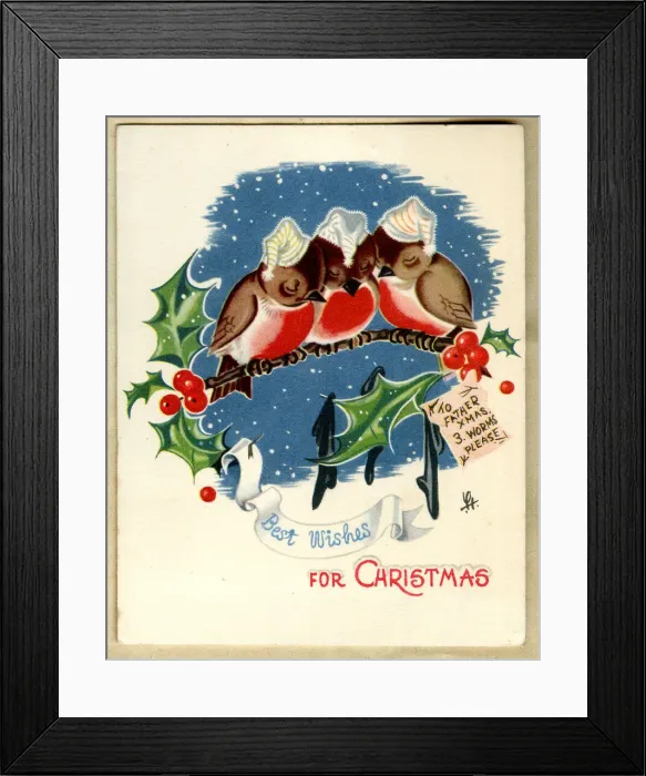 Framed Print : Christmas card, three robins asleep on a branch Framed Print : Christmas card, three robins asleep on a branch