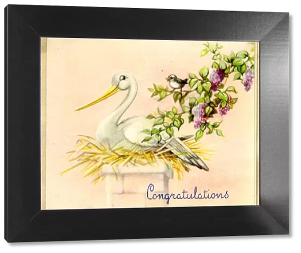 Congratulations card, Stork on her nest