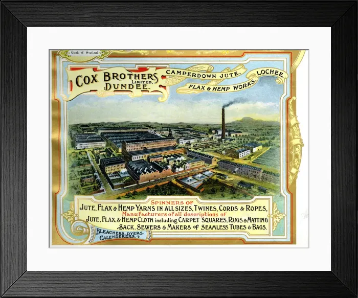 Framed Print : Advert, Cox Brothers Limited, Lochee, Scotland Framed Print : Advert, Cox Brothers Limited, Lochee, Scotland