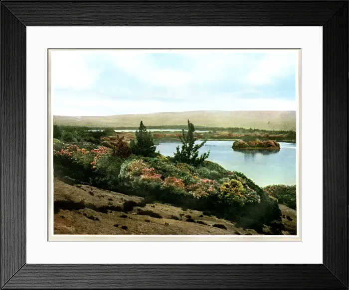 Framed Print : Cragside House, near Rothbury, Northumberland Framed Print : Cragside House, near Rothbury, Northumberland