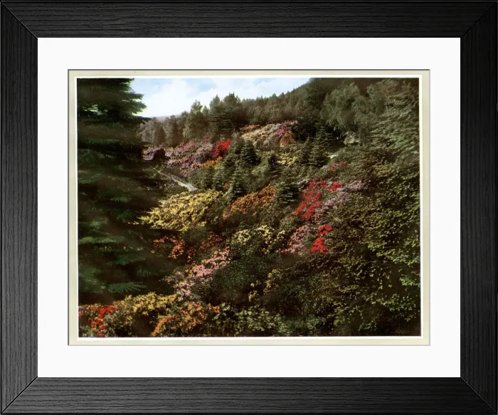 Framed Print : Cragside House, near Rothbury, Northumberland Framed Print : Cragside House, near Rothbury, Northumberland